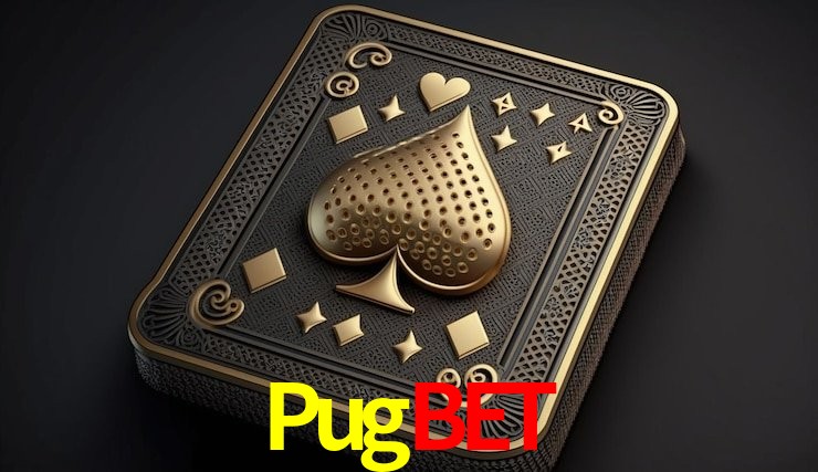 Sistemas de Segurança Pugbet